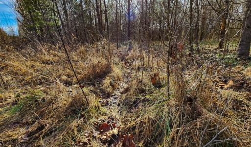 Photo #11 of SOLD property in Off Azalea Lane , Danville, VA 33.0 acres