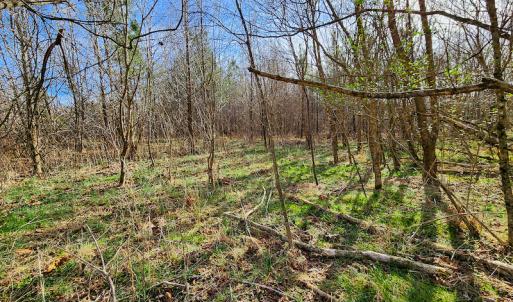 Photo #12 of SOLD property in Off Azalea Lane , Danville, VA 33.0 acres
