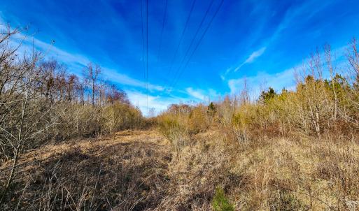 Photo #16 of SOLD property in Off Azalea Lane , Danville, VA 33.0 acres
