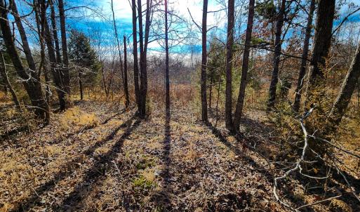 Photo #18 of SOLD property in Off Azalea Lane , Danville, VA 33.0 acres