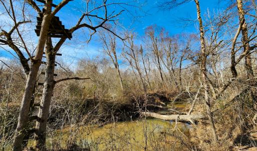 Photo #19 of SOLD property in Off Azalea Lane , Danville, VA 33.0 acres