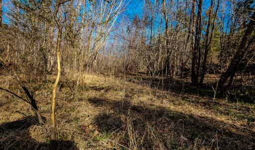 Photo #23 of SOLD property in Off Azalea Lane , Danville, VA 33.0 acres