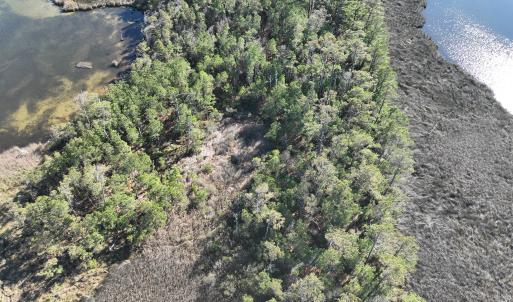 Photo #6 of SOLD property in Off Hog Quarter Road, Powells Point, NC 37.2 acres