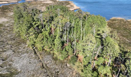 Photo #10 of SOLD property in Off Hog Quarter Road, Powells Point, NC 37.2 acres