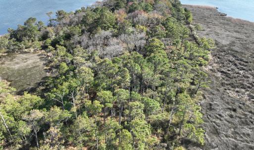 Photo #11 of SOLD property in Off Hog Quarter Road, Powells Point, NC 37.2 acres