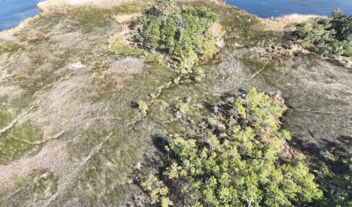 Photo #12 of SOLD property in Off Hog Quarter Road, Powells Point, NC 37.2 acres