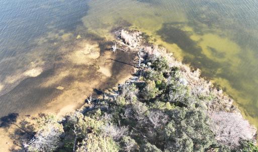 Photo #13 of SOLD property in Off Hog Quarter Road, Powells Point, NC 37.2 acres