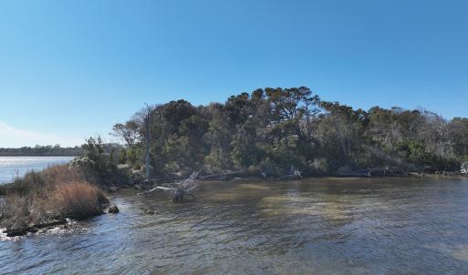 Photo #15 of SOLD property in Off Hog Quarter Road, Powells Point, NC 37.2 acres