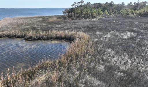 Photo #18 of SOLD property in Off Hog Quarter Road, Powells Point, NC 37.2 acres