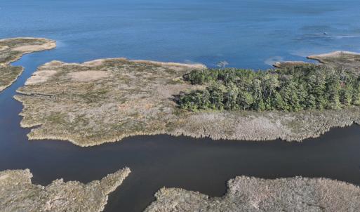 Photo #23 of SOLD property in Off Hog Quarter Road, Powells Point, NC 37.2 acres