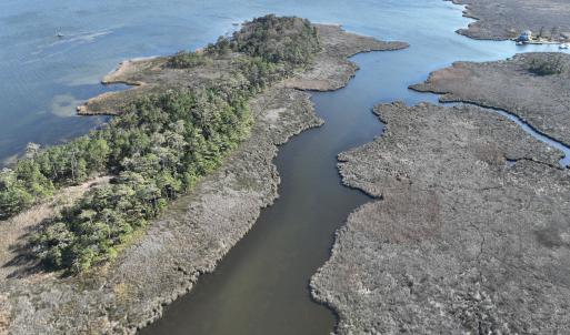 Photo #24 of SOLD property in Off Hog Quarter Road, Powells Point, NC 37.2 acres
