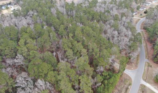 Photo #5 of 1620 Jonestown Road, Galivants Ferry, SC 20.0 acres