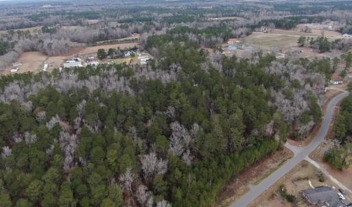Photo #6 of 1620 Jonestown Road, Galivants Ferry, SC 20.0 acres