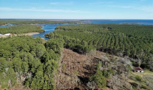 Photo #2 of SOLD property in Off Upper Neck Rd, Bayboro, NC 6.9 acres