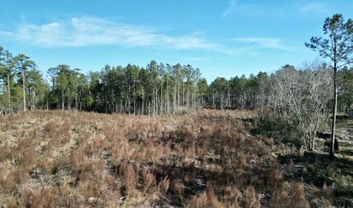Photo #12 of SOLD property in Off Upper Neck Rd, Bayboro, NC 6.9 acres