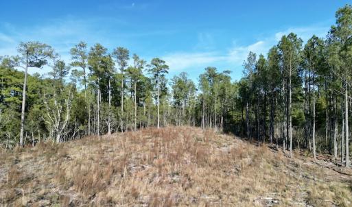 Photo #15 of SOLD property in Off Upper Neck Rd, Bayboro, NC 6.9 acres