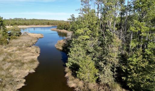 Photo #16 of SOLD property in Off Upper Neck Rd, Bayboro, NC 6.9 acres