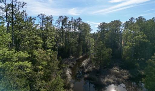 Photo #17 of SOLD property in Off Upper Neck Rd, Bayboro, NC 6.9 acres