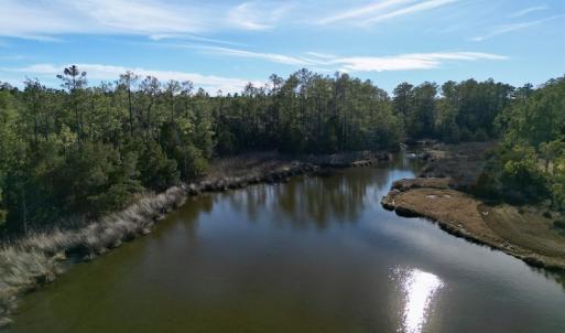 Photo #18 of SOLD property in Off Upper Neck Rd, Bayboro, NC 6.9 acres