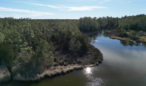 Photo #19 of SOLD property in Off Upper Neck Rd, Bayboro, NC 6.9 acres