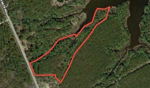 Photo #1 of SOLD property in Off Upper Neck Rd, Bayboro, NC 6.9 acres