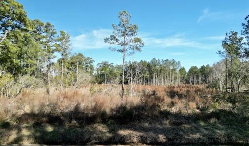 Photo #21 of SOLD property in Off Upper Neck Rd, Bayboro, NC 6.9 acres