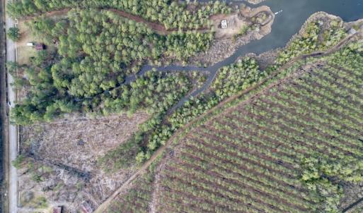 Photo #24 of SOLD property in Off Upper Neck Rd, Bayboro, NC 6.9 acres
