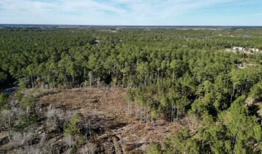 Photo #4 of SOLD property in Off Upper Neck Rd, Bayboro, NC 6.9 acres