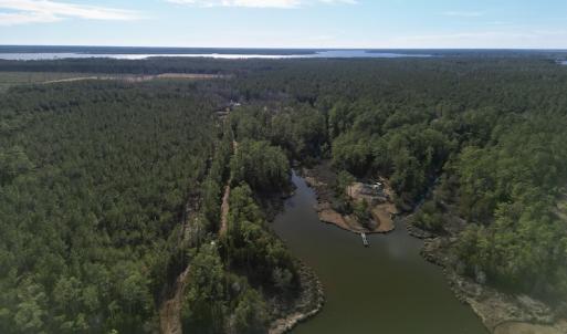 Photo #6 of SOLD property in Off Upper Neck Rd, Bayboro, NC 6.9 acres
