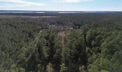 Photo #7 of SOLD property in Off Upper Neck Rd, Bayboro, NC 6.9 acres