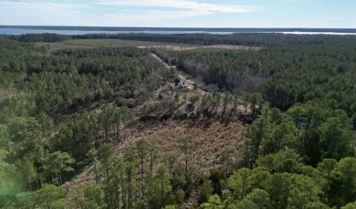 Photo #8 of SOLD property in Off Upper Neck Rd, Bayboro, NC 6.9 acres