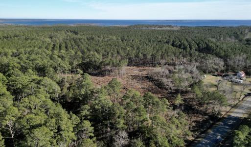 Photo #9 of SOLD property in Off Upper Neck Rd, Bayboro, NC 6.9 acres