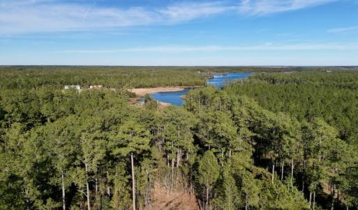 Photo #10 of SOLD property in Off Upper Neck Rd, Bayboro, NC 6.9 acres