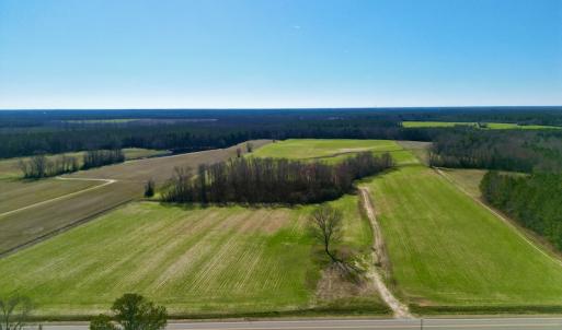 Photo #2 of SOLD property in Off NC Hwy 222, Saratoga, NC 56.1 acres
