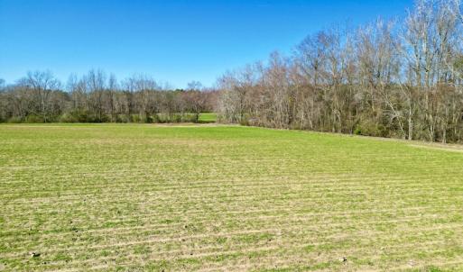 Photo #13 of SOLD property in Off NC Hwy 222, Saratoga, NC 56.1 acres