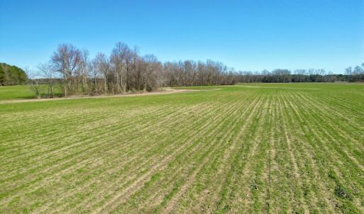 Photo #14 of SOLD property in Off NC Hwy 222, Saratoga, NC 56.1 acres