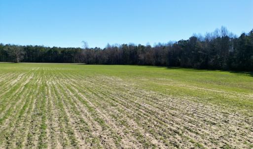 Photo #15 of SOLD property in Off NC Hwy 222, Saratoga, NC 56.1 acres