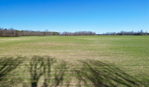 Photo #16 of SOLD property in Off NC Hwy 222, Saratoga, NC 56.1 acres