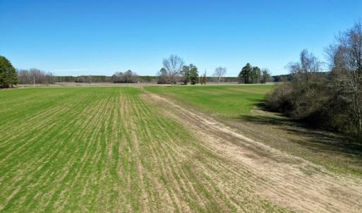 Photo #17 of SOLD property in Off NC Hwy 222, Saratoga, NC 56.1 acres