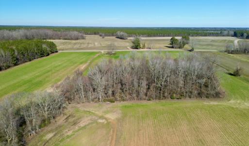 Photo #18 of SOLD property in Off NC Hwy 222, Saratoga, NC 56.1 acres