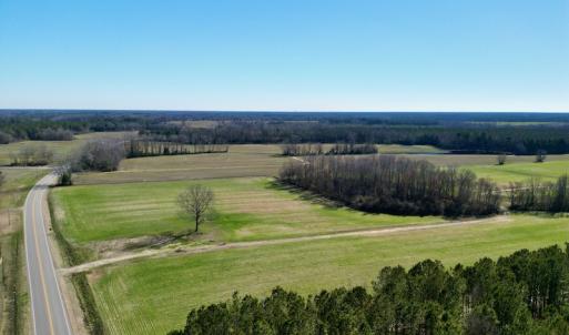 Photo #3 of SOLD property in Off NC Hwy 222, Saratoga, NC 56.1 acres