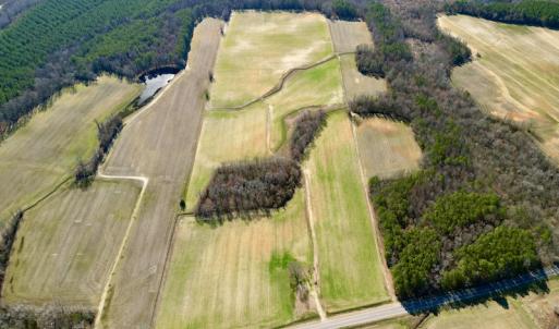 Photo #21 of SOLD property in Off NC Hwy 222, Saratoga, NC 56.1 acres