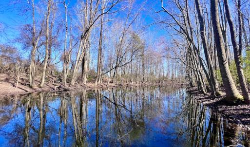 Photo #22 of SOLD property in Off NC Hwy 222, Saratoga, NC 56.1 acres