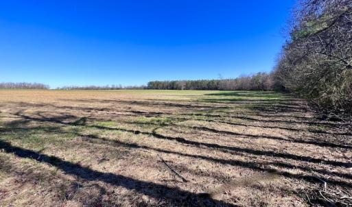 Photo #23 of SOLD property in Off NC Hwy 222, Saratoga, NC 56.1 acres