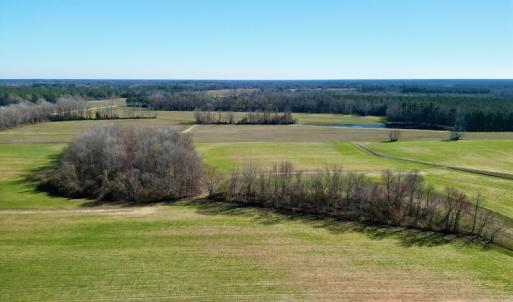 Photo #4 of SOLD property in Off NC Hwy 222, Saratoga, NC 56.1 acres