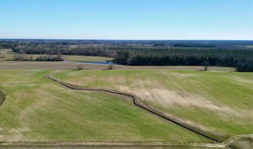 Photo #5 of SOLD property in Off NC Hwy 222, Saratoga, NC 56.1 acres