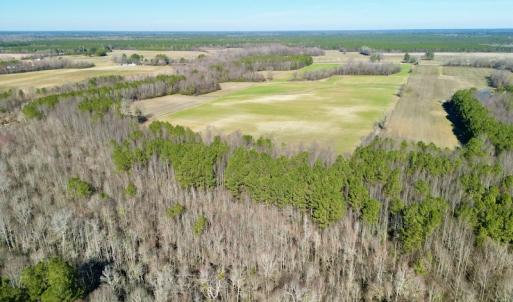 Photo #7 of SOLD property in Off NC Hwy 222, Saratoga, NC 56.1 acres