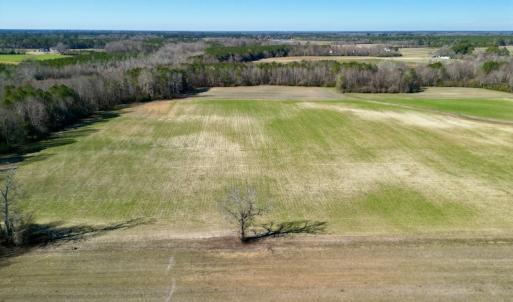 Photo #8 of SOLD property in Off NC Hwy 222, Saratoga, NC 56.1 acres