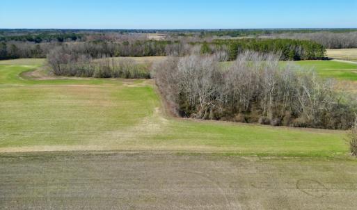 Photo #9 of SOLD property in Off NC Hwy 222, Saratoga, NC 56.1 acres