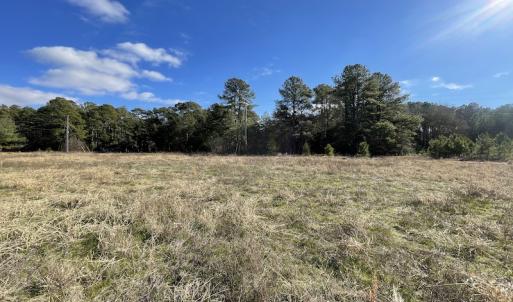 Photo #11 of Off Pheasant Run Road , Exmore, VA 2.1 acres